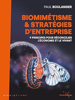 Biomimétisme et stratégies d