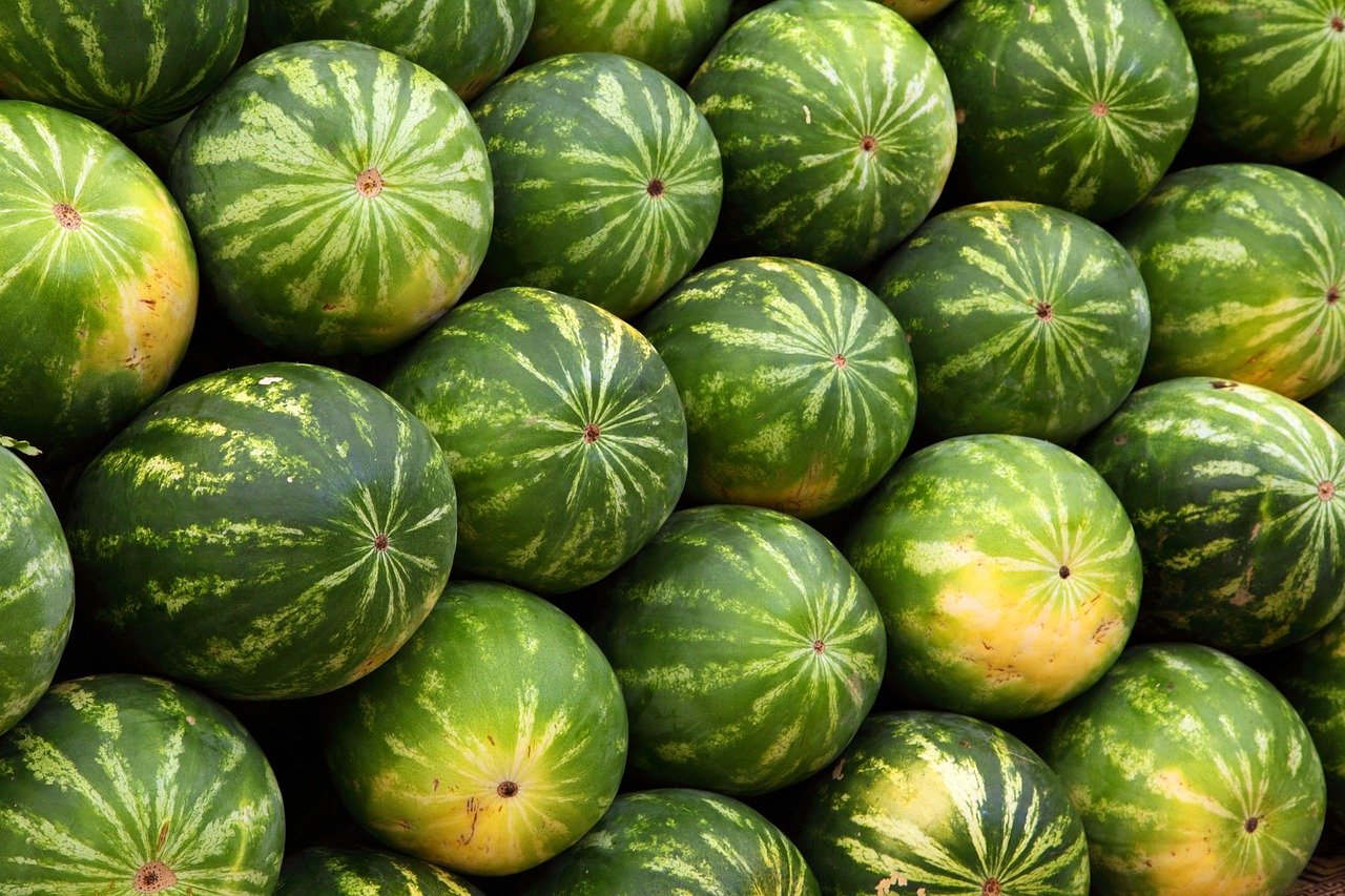 identifier une niche de marché rentable pour optimiser vos opportunités commerciales et maximiser vos profits.