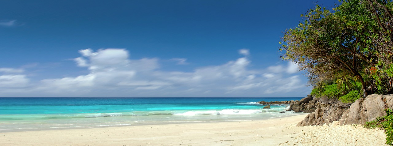 Blue ocean : comment créer un marché sans concurrence
