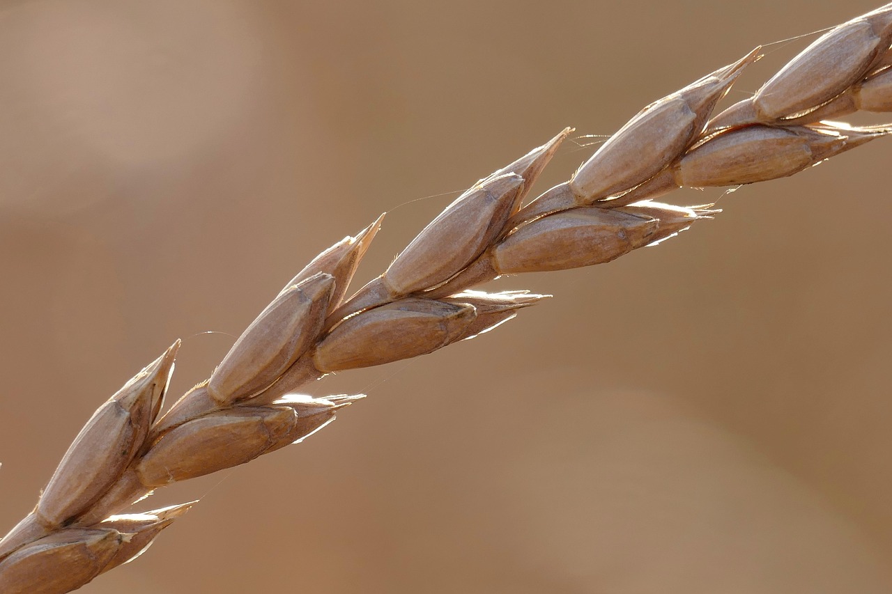 comparez les performances de votre entreprise avec celles du secteur gr&acirc;ce au benchmarking sectoriel pour identifier les meilleures pratiques et am&eacute;liorer votre comp&eacute;titivit&eacute;.