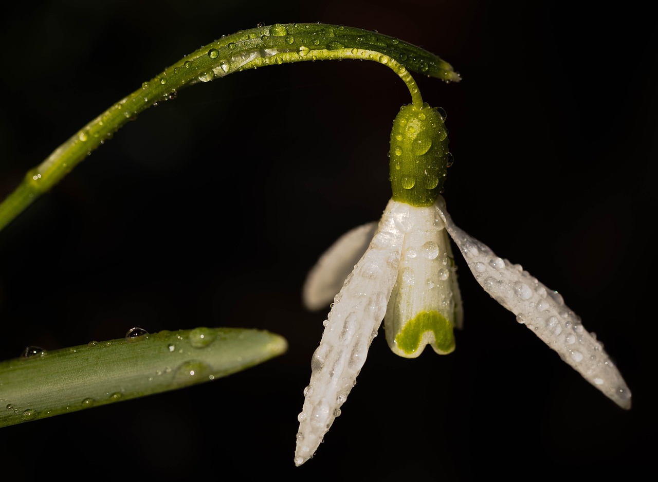 d&eacute;couvrez le benchmarking sectoriel pour analyser et comparer les performances des entreprises dans votre secteur et optimiser votre strat&eacute;gie.